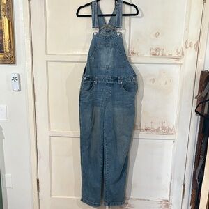 Wild Fable Distressed Blue Denim